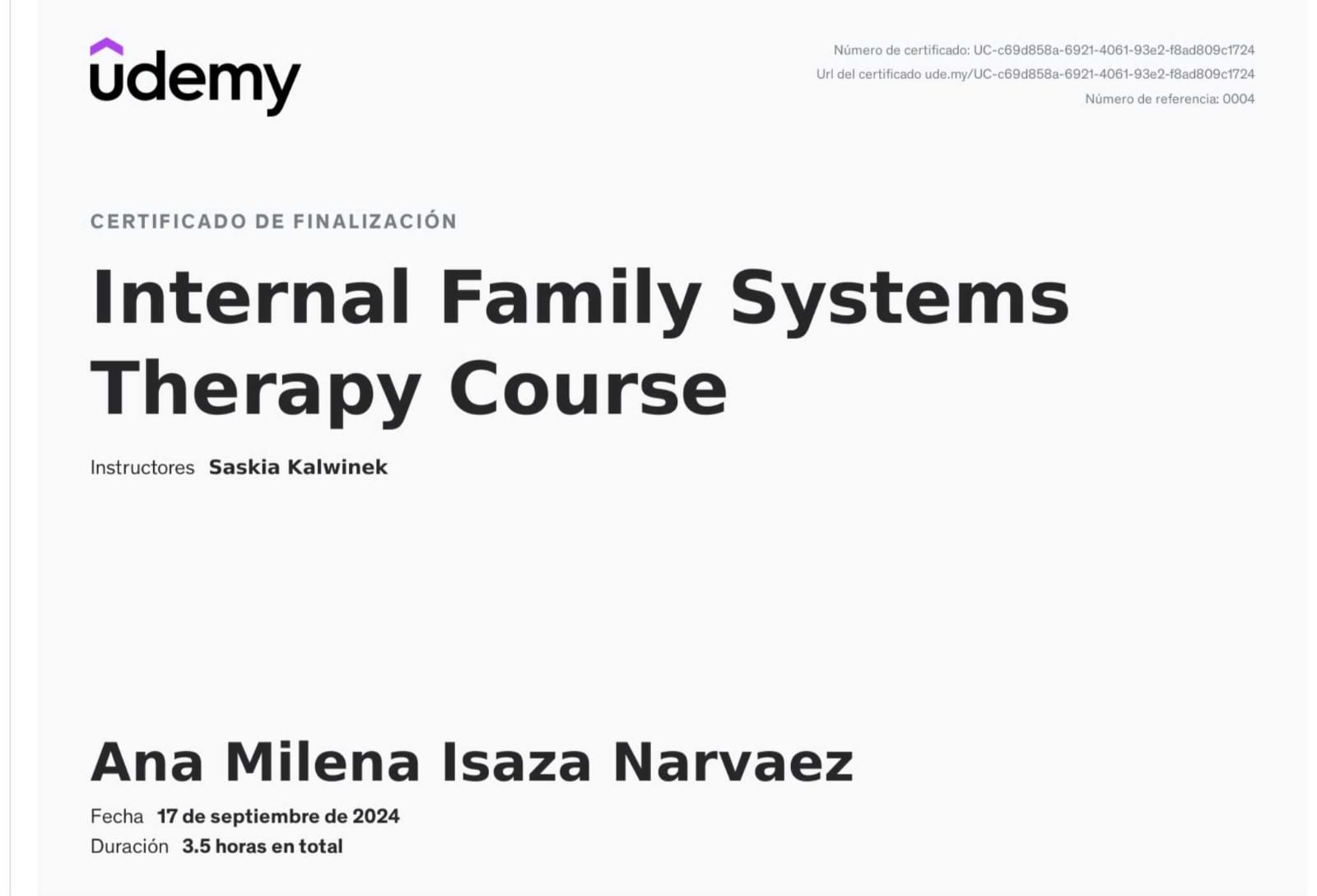 Certificado Internal Family Systems Therapy Course — Udemy · Saskia Kalwinek (3.5 horas)